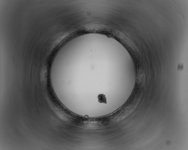 X0000100850448200807070937