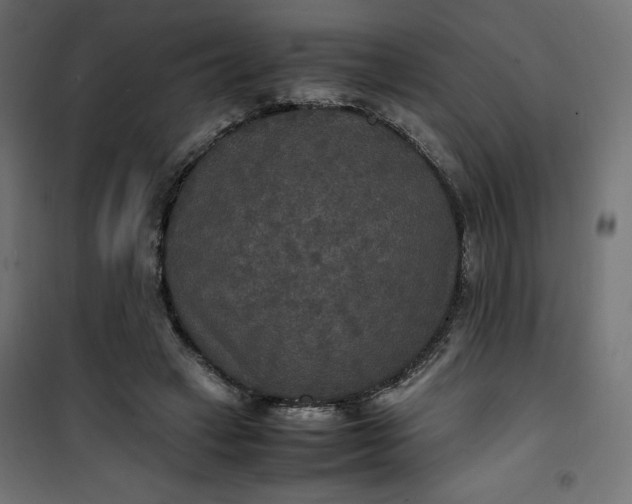 X0000100850449200807070937