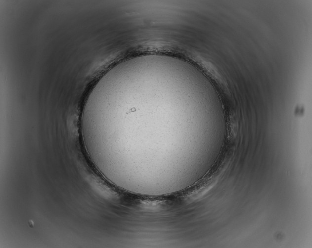 X0000100850450200807070937