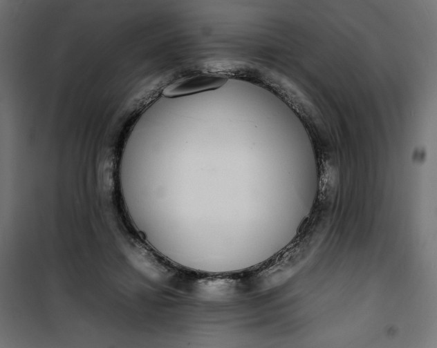 X0000100850452200807070937