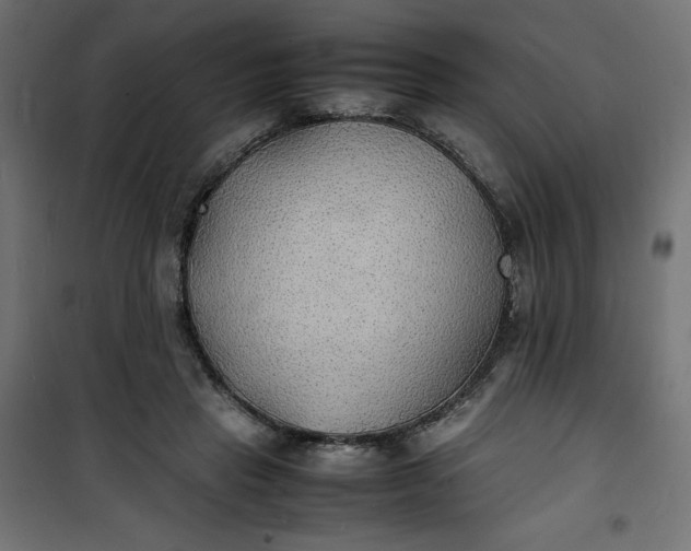 X0000100850453200807070937