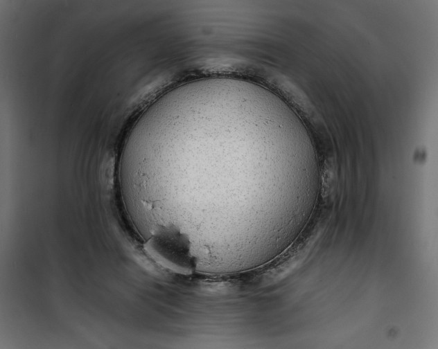 X0000100850454200807070937