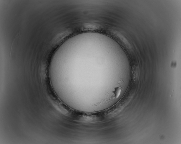 X0000100850455200807070937