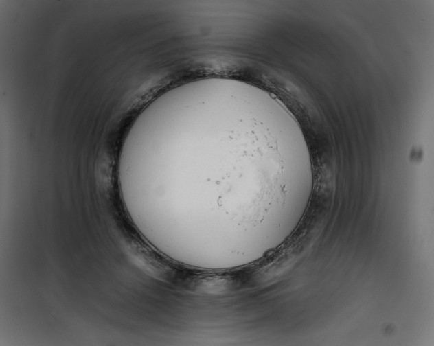 X0000100850456200807070937