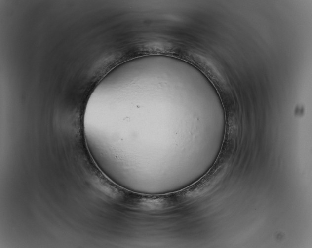 X0000100850457200807070937