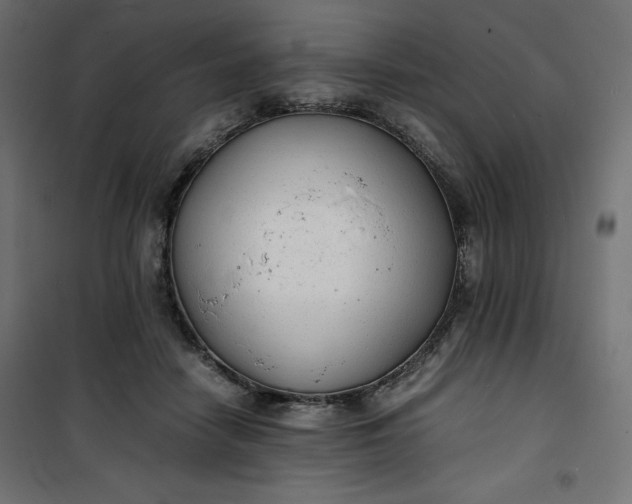 X0000100850458200807070937