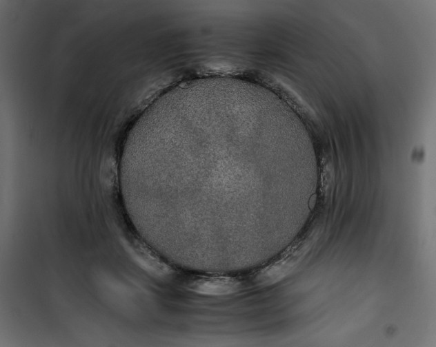 X0000100850459200807070937