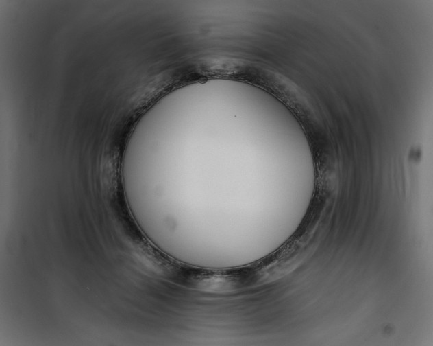 X0000100850460200807070937