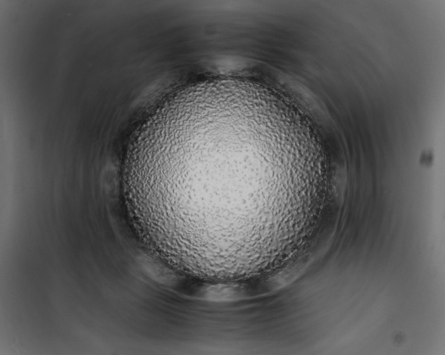 X0000100850461200807070937