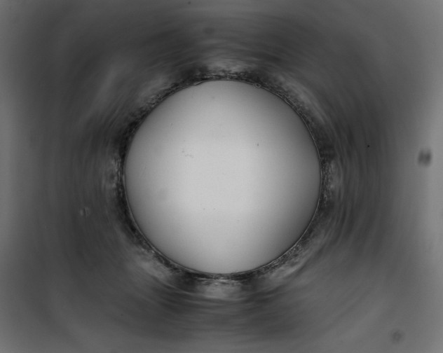 X0000100850463200807070937