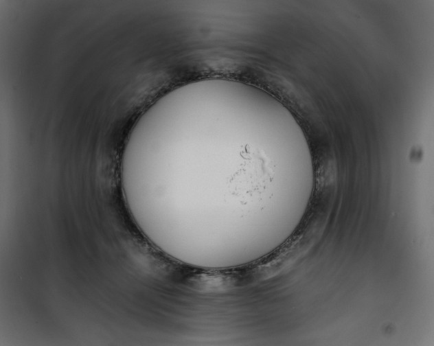 X0000100850464200807070937