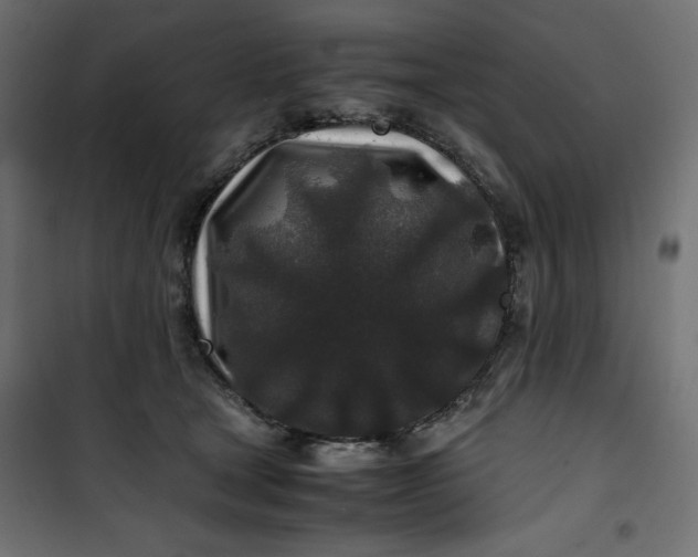 X0000100850465200807070937