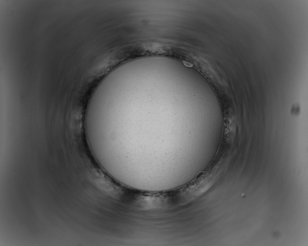 X0000100850466200807070937