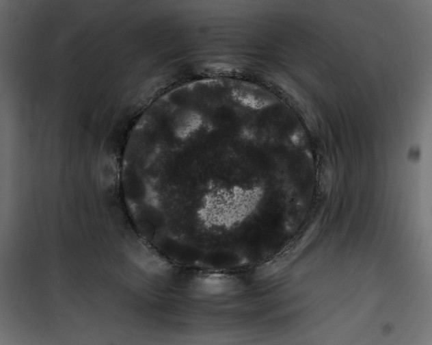 X0000100850467200807070937