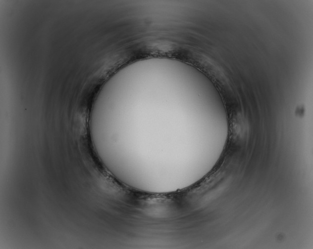 X0000100850468200807070937