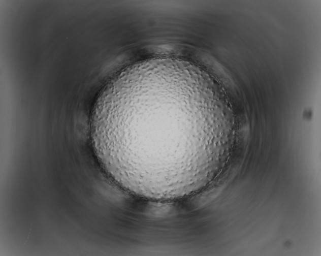 X0000100850469200807070937