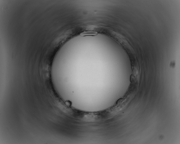 X0000100850470200807070937