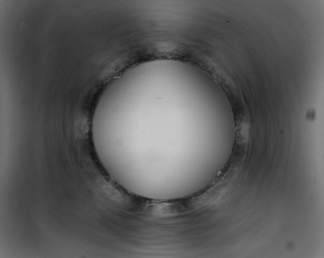 X0000100850472200807070937