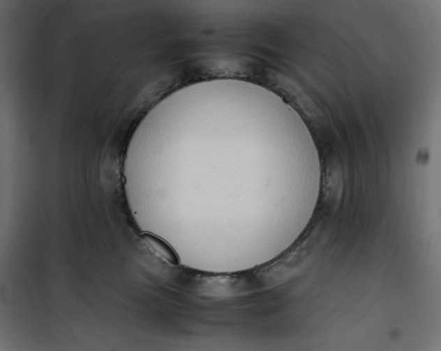 X0000100850473200807070937