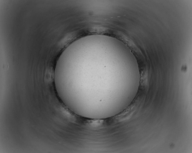 X0000100850474200807070937