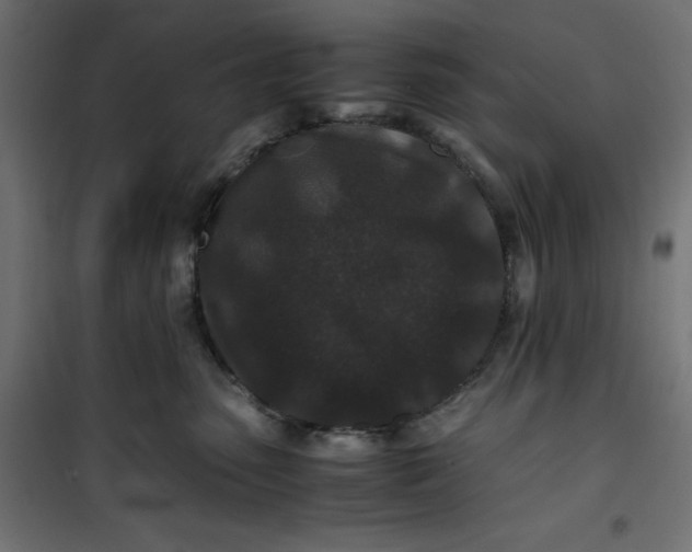 X0000100850475200807070937