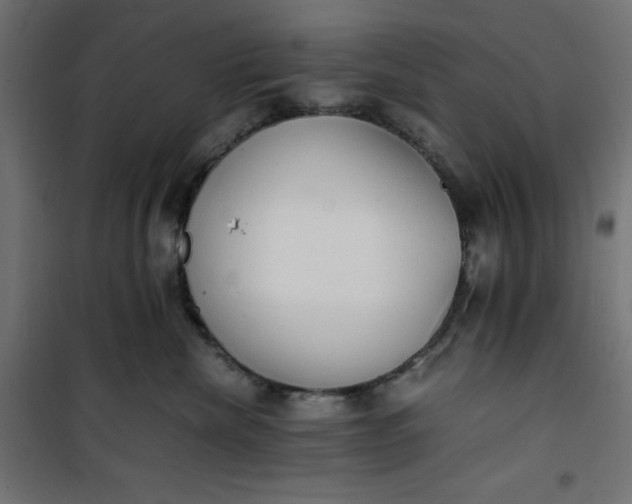 X0000100850476200807070937