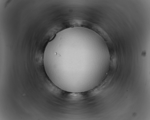 X0000100850477200807070937