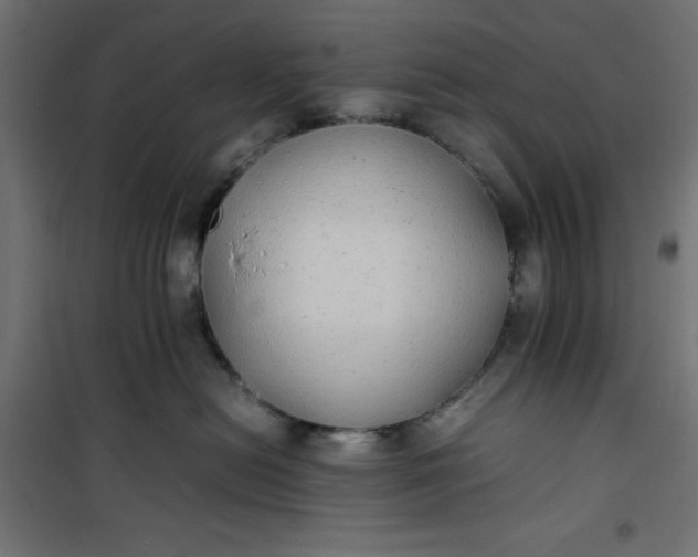 X0000100850478200807070937