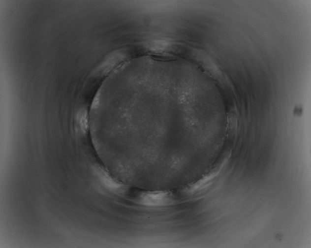 X0000100850479200807070938