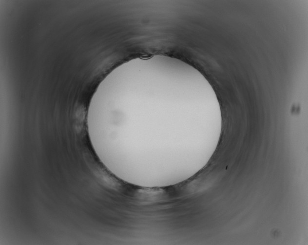 X0000100850480200807070938