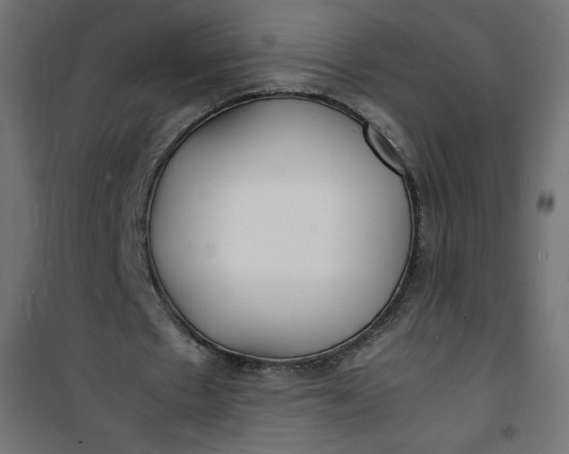 X0000100850481200807070937