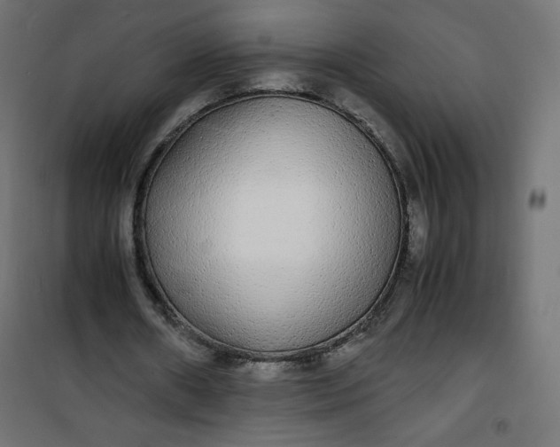 X0000100850482200807070937