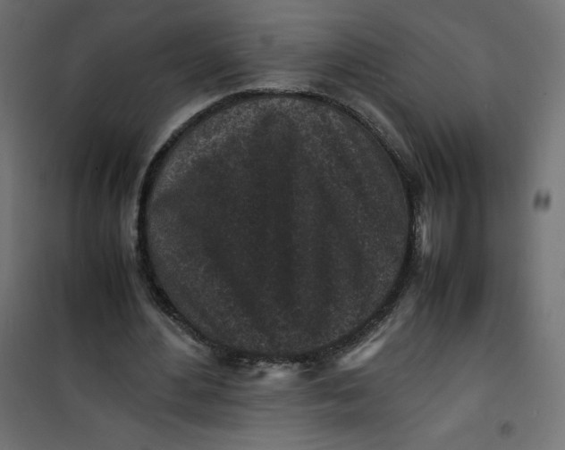 X0000100850484200807070937