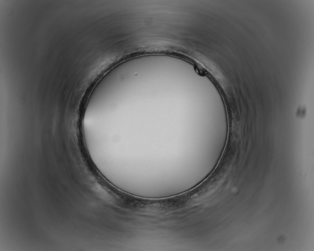 X0000100850485200807070937