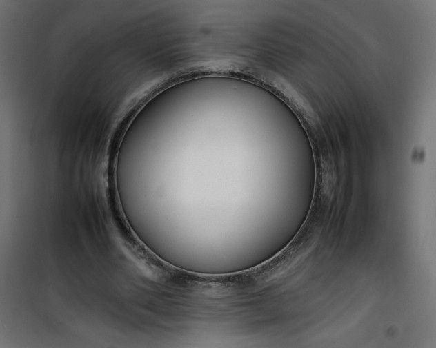 X0000100850486200807070937