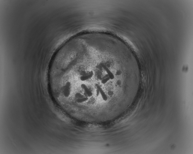 X0000100850487200807070937