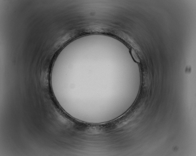 X0000100850489200807070937