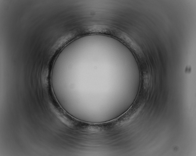 X0000100850490200807070937