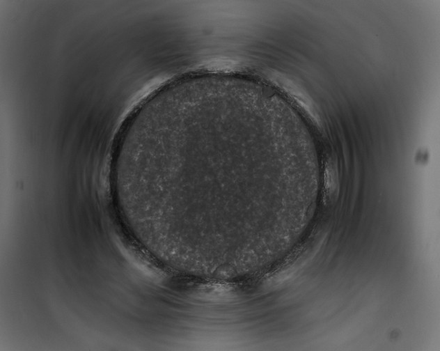 X0000100850492200807070937