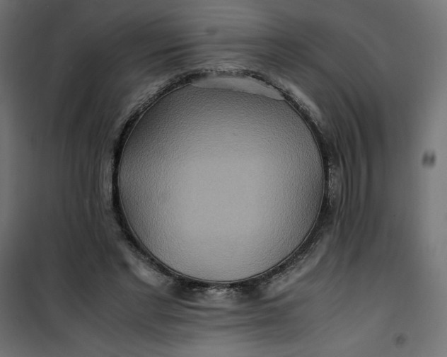 X0000100850493200807070936