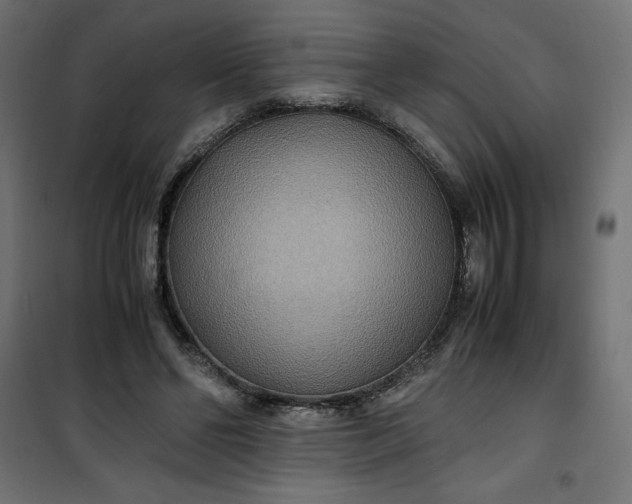 X0000100850494200807070936