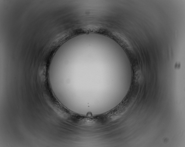 X0000100850498200807070936