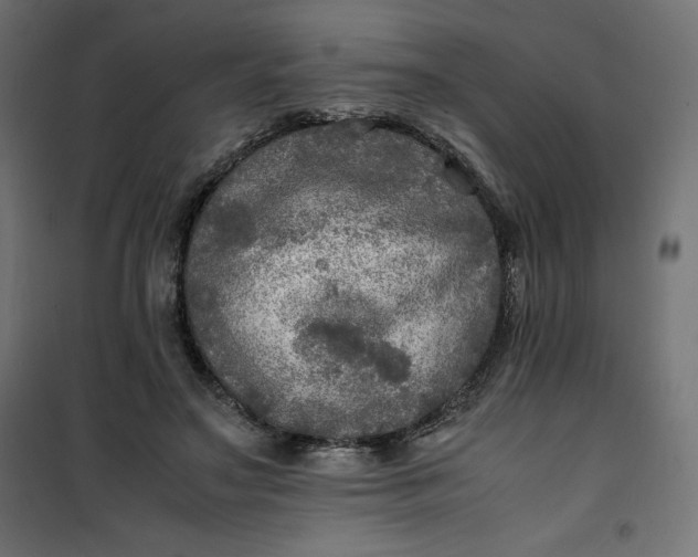 X0000100850499200807070936