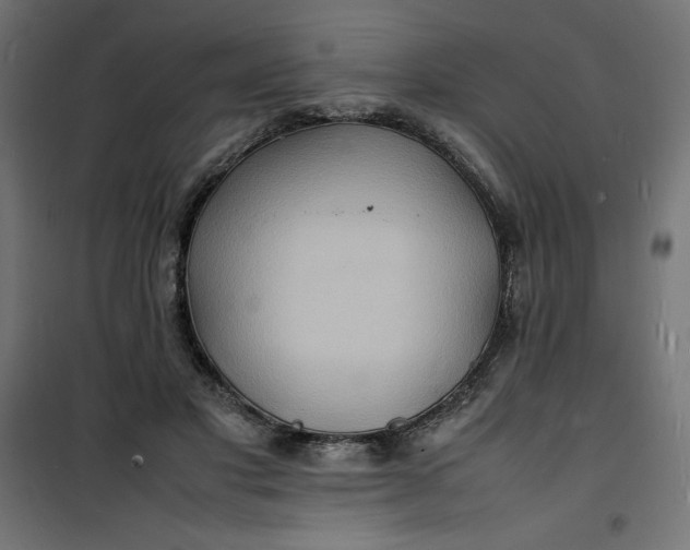 X0000100850501200807070936