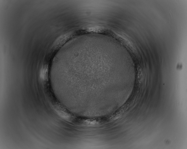 X0000100850502200807070936