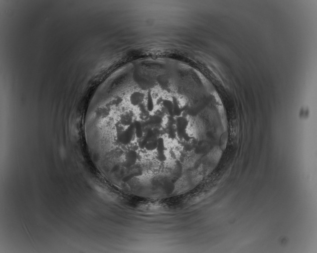 X0000100850503200807070936