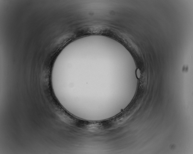 X0000100850505200807070936