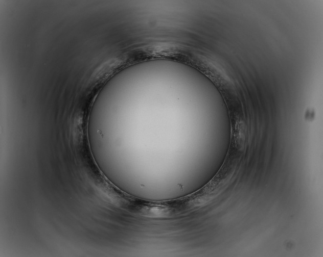 X0000100850506200807070936