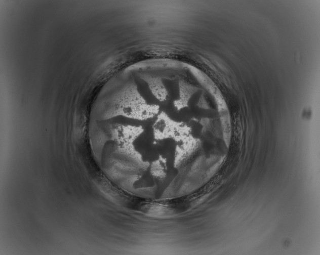 X0000100850507200807070936