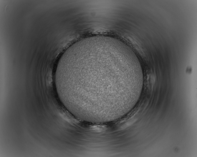 X0000100850508200807070936